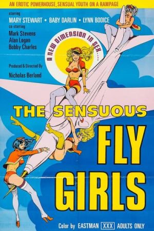Watch The Sensuous Fly Girls (1976) Porn Full Movie Online Free -  WatchPornFree